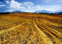 新疆江布拉克自然风景图