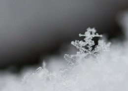 晶莹剔透的雪花图片(9张