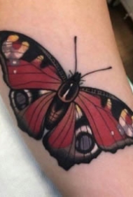 纹身蝴蝶素材 一组女生漂亮的蝴蝶纹身手稿和作品