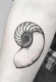 小清新海洋动物题材的9款海螺海贝等纹身图片