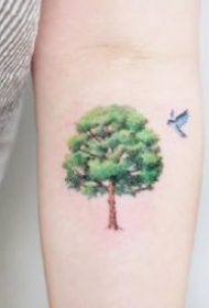 小树纹身 活力盎然的9张小清新的绿色小树纹身图片