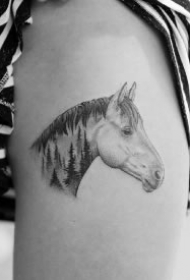 9款动物纹身之小马纹身图案分享