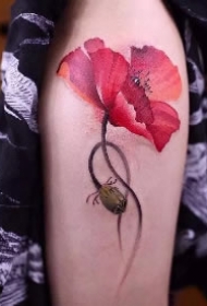 9款漂亮的罂粟花纹身作品图片