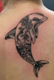 精美好看的9款海豚小纹身图案