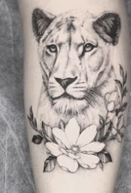 即酷又温柔的大狮子纹身图片