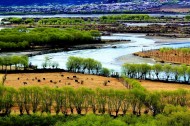 西藏尼洋河风景图片(10张)