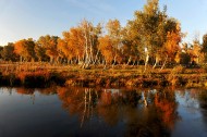 北疆秋色风景图片(9张)
