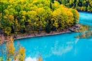 新疆喀纳斯湖金秋风景图片(11张)