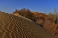 内蒙古鄂尔多斯恩格贝沙漠风景图片(11张)