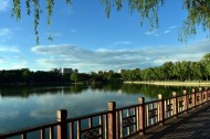 北京龙潭公园风景图片(20张)