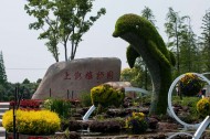 上海植物园风景图片(10张)