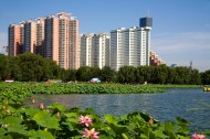 北京莲花池公园图片(6张)
