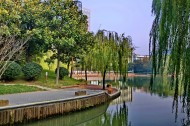 上海新金桥公园风景图片(9张)