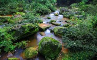 贵州赤水四洞沟风景图片(20张)