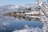 北京植物园雪景图片(15张)
