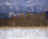 日本冬景图片(25张)
