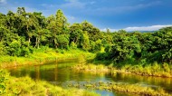 尼泊尔奇特旺皇家公园风景图片(10张)