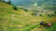 越南山地梯田风景图片(13张)
