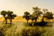 新疆罗布人村寨风景图片(11张)