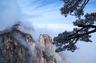 安徽黄山雪景树挂图片(12张)
