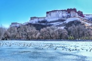 西藏拉萨冬季风景图片(9张)