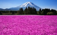 日本富士山风景图片(9张)