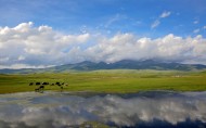 新疆巴音布鲁克风景图片(12张)