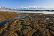 新疆赛里木湖风景图片(16张)
