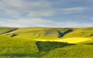 内蒙古科尔沁草原风景图