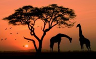 非洲AFRICA风景图片(12