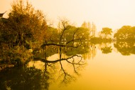 浙江杭州西湖风景图片(10张)