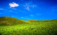 内蒙古草原风景图片(11张)