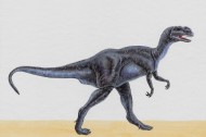 手绘恐龙图片(25张)