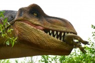 恐龙模型和恐龙化石图片(11张)