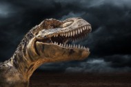 恐龙创意图片(9张)