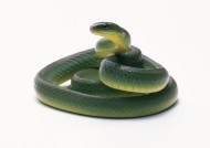 蛇图片(74张)