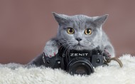 Zenit相机图片(9张)
