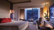泰国曼谷乃乐园瑞士大酒店图片(16张)