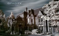 opcity城市废墟图片(32张)