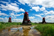 荷兰风车图片(11张)