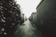 寂静的小巷图片(13张)