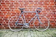 轻便的自行车图片(12张)