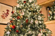 装饰精美的圣诞树图片(1