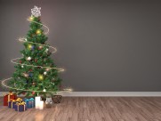 室内圣诞树图片(9张)