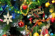 喜庆的圣诞树图片(12张)