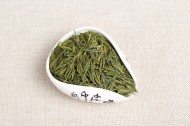 绿色新鲜的茶叶图片(10张)