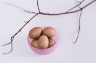 新鲜的鸡蛋图片(14张)