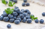 新鲜的蓝莓图片(13张)