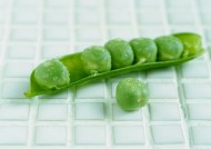 绿色豌豆图片(2张)