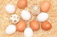 可爱的彩绘蛋蛋摄影高清图片(15张)